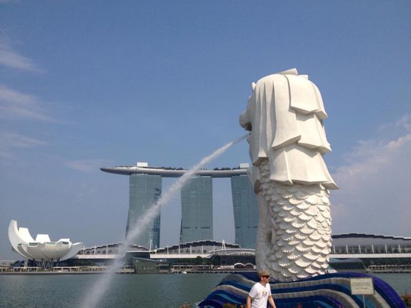 シンガポール・シンガポール「14.11 シンガポール」の写真