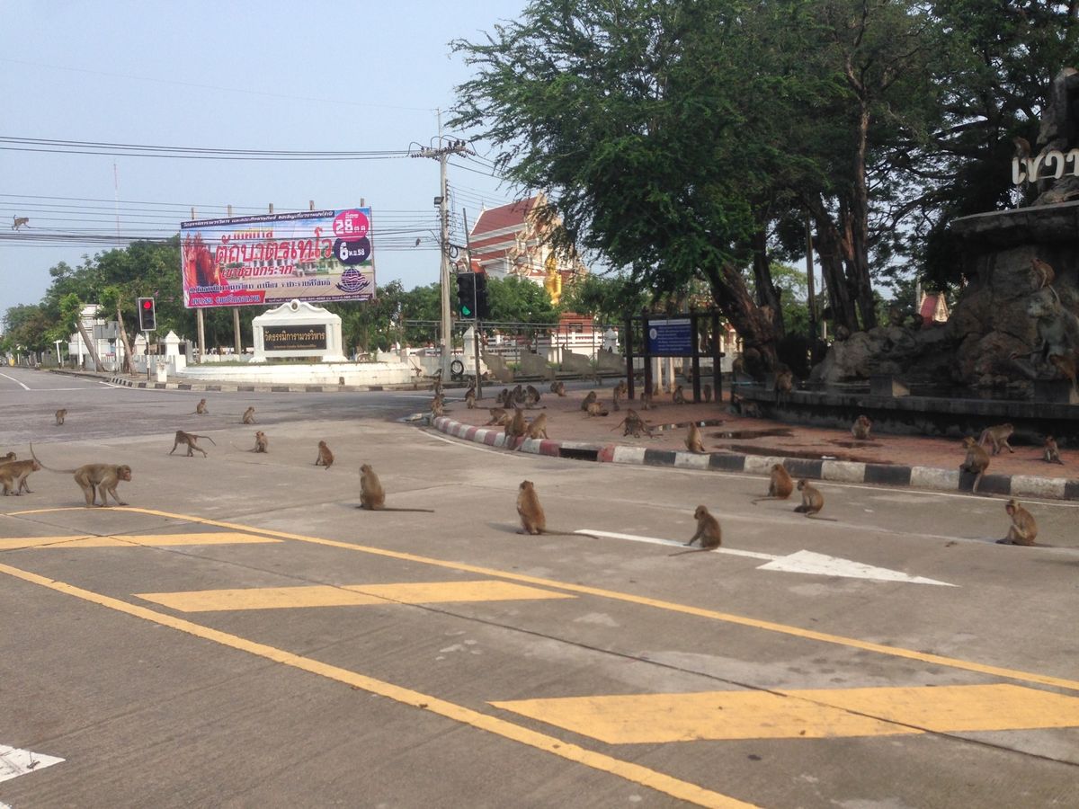 プラチュアップ