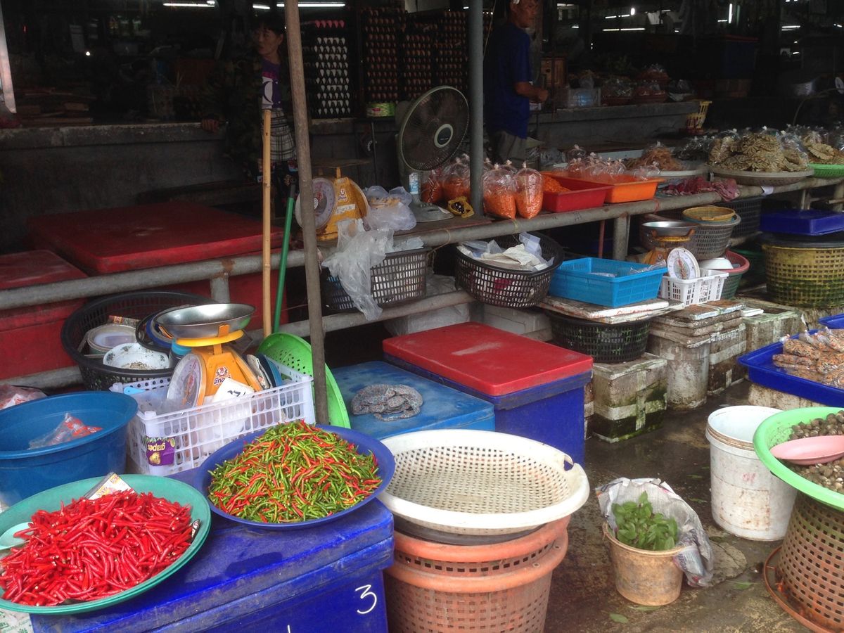 プラチュアップ