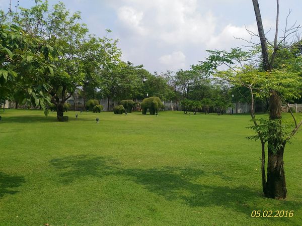 タイ・バンコク「16.05 タイ(バンコク/アユタヤ/プーケット)」の写真：アユタヤ