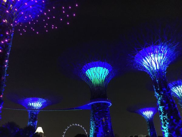 シンガポール・シンガポール「16.05 シンガポール」の写真