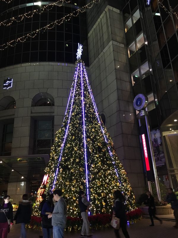 台湾・台北「16.12 台湾(台北)」の写真