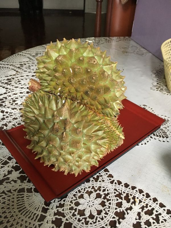 タイ・バンコク「17.05 タイ(バンコク/チェンマイ)」の写真：バンコク