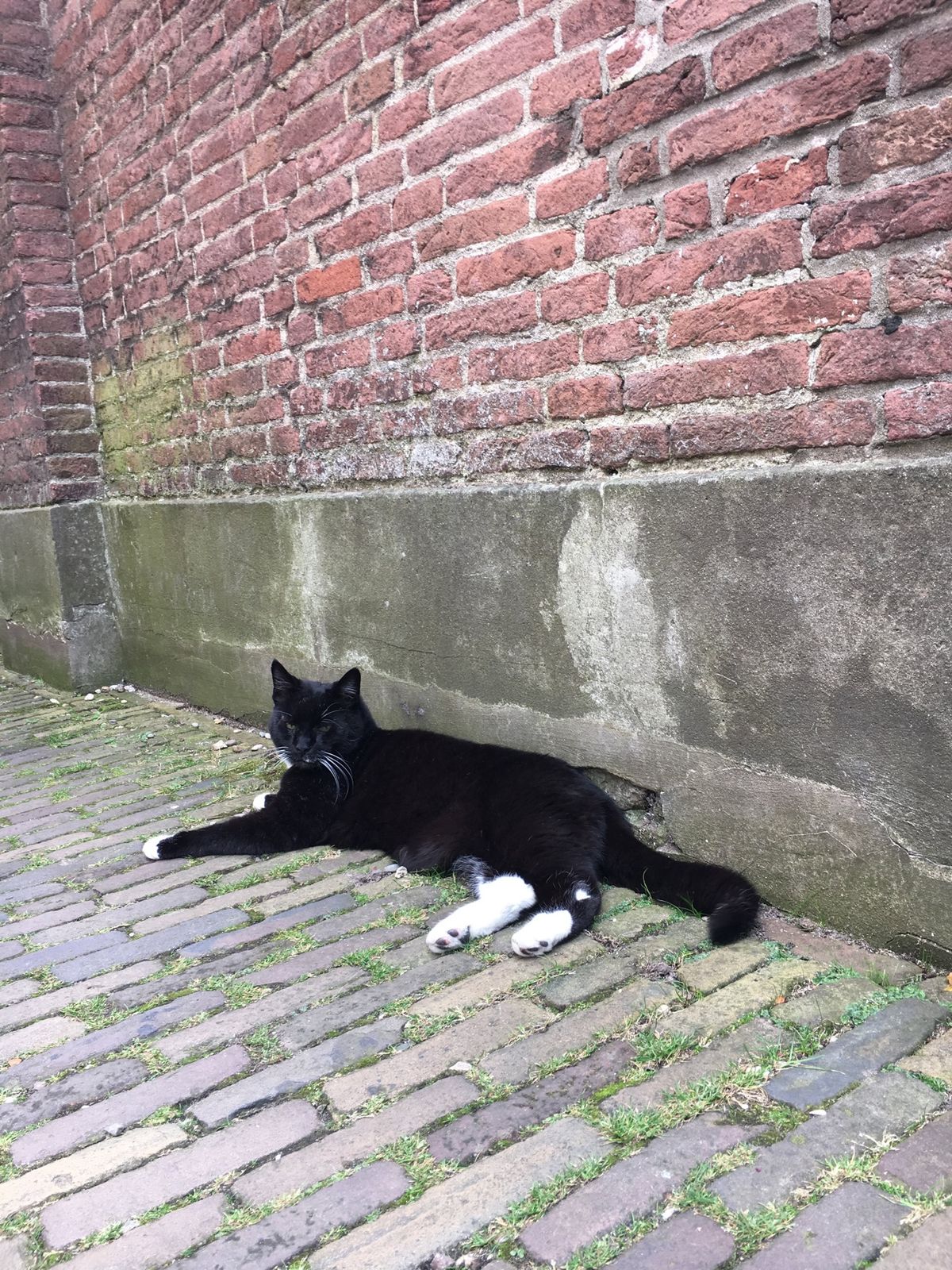 Utrecht