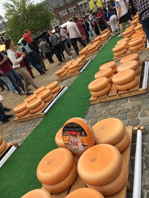 ゴーダ🧀