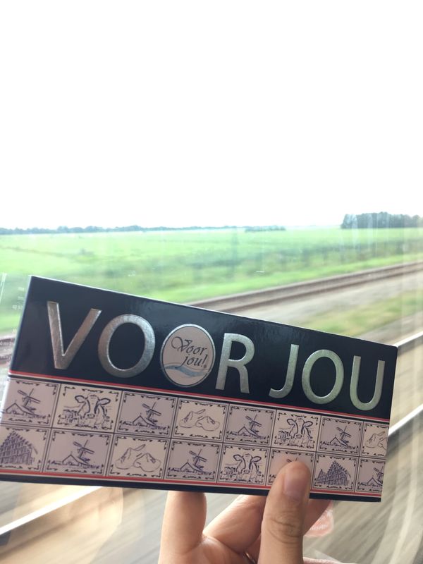 オランダ・アムステルダム「17.08 オランダ(ゴーダ/ロッテルダム/アムステルダム/ハールレム/ザーンセスカンス/フォーレンダム/エダム/ユトレヒト/マーストリヒト)」の写真：アムステルダム