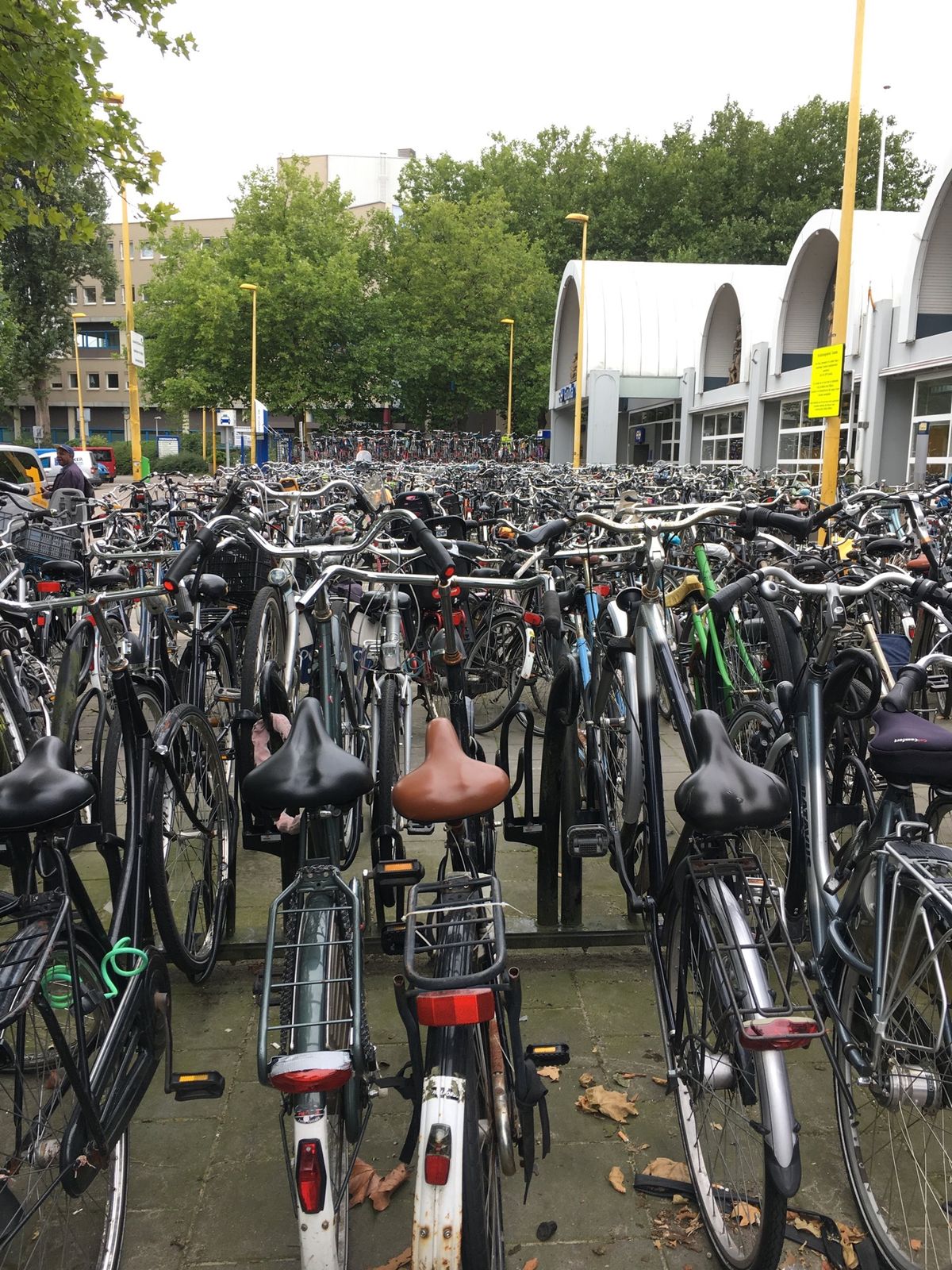 ロッテルダム🚲