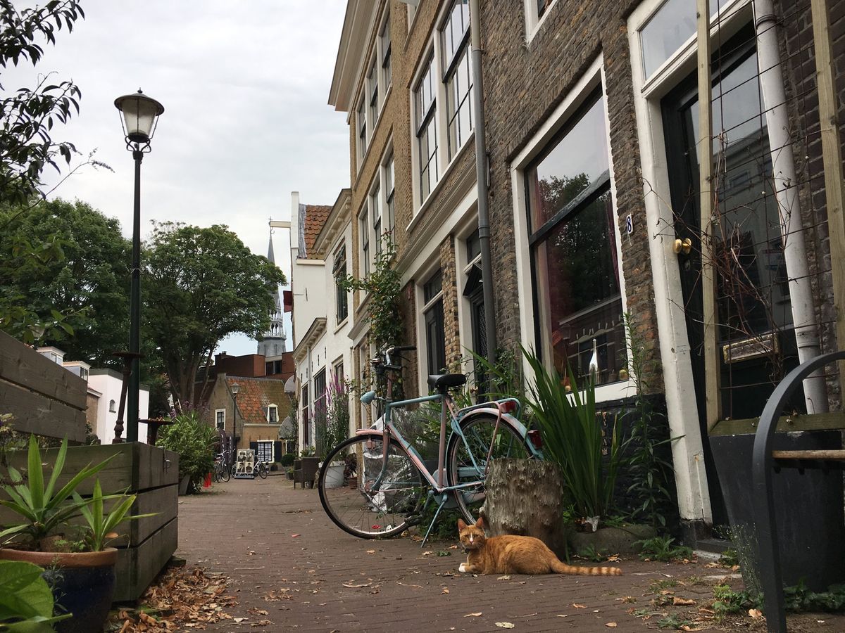 ロッテルダム🚲