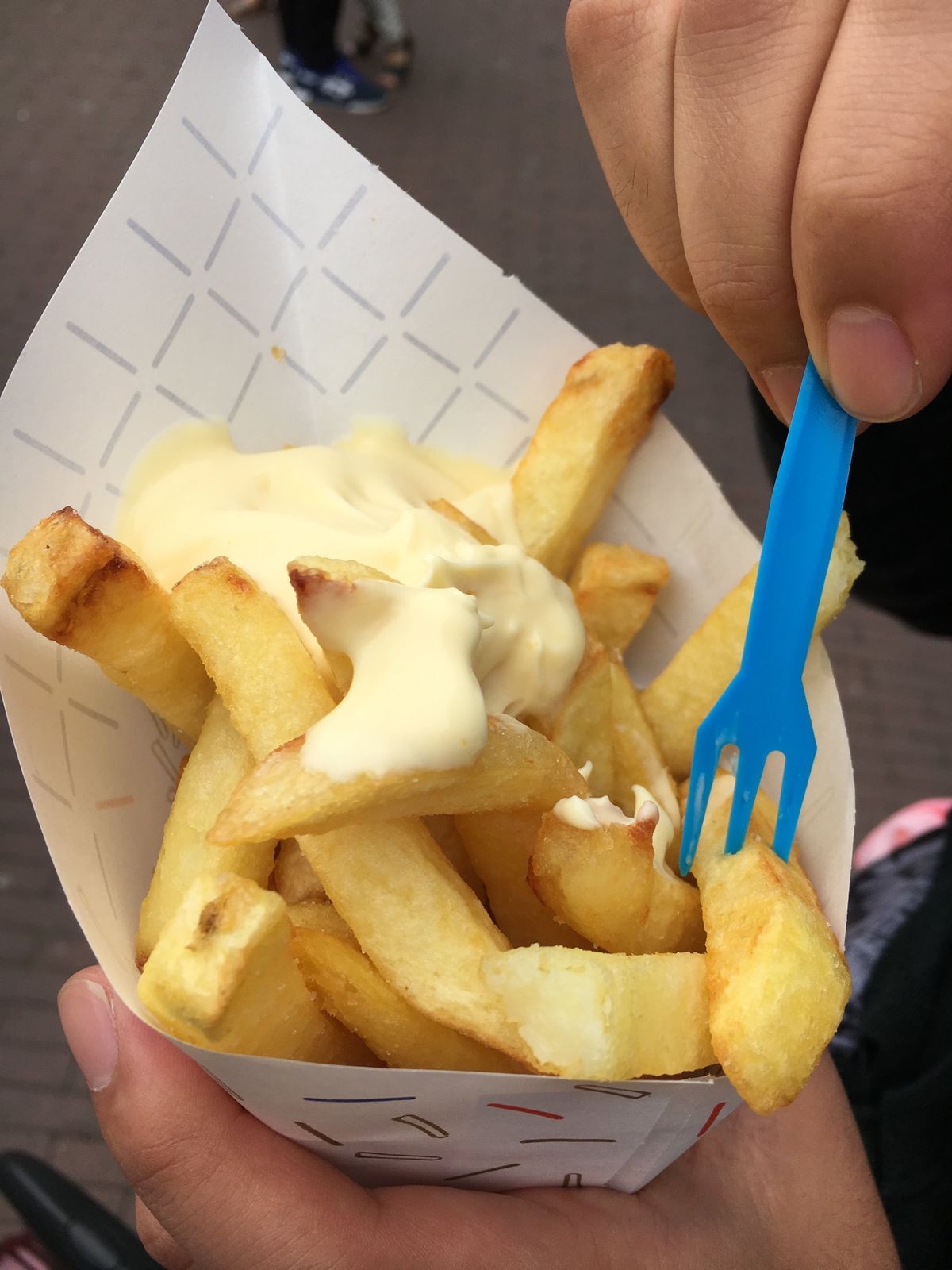 ロッテルダム🚲