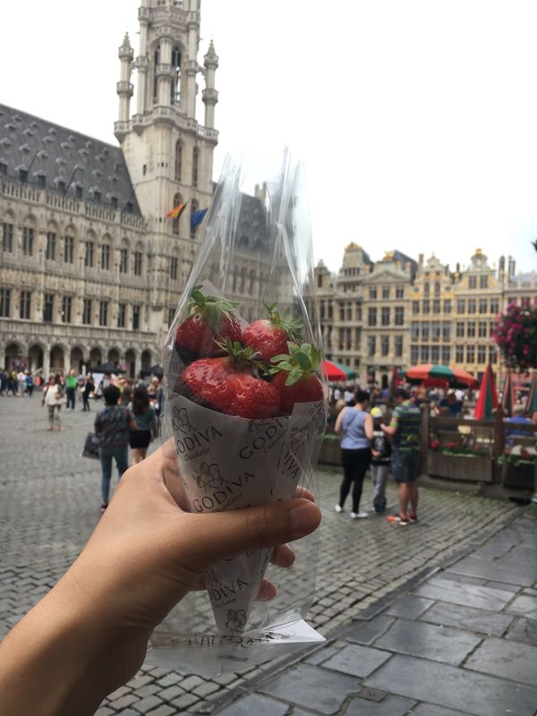 ベルギー・ブリュッセル「17.08 ベルギー(リエージュ/ブリュッセル/ブルージュ)」の写真：ブリュッセル