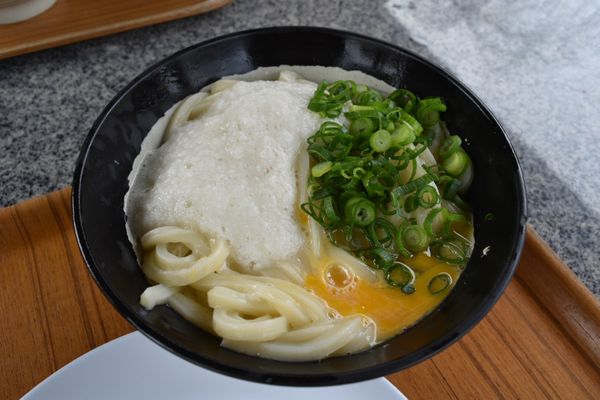 日本・香川県「愛媛　香川」の写真