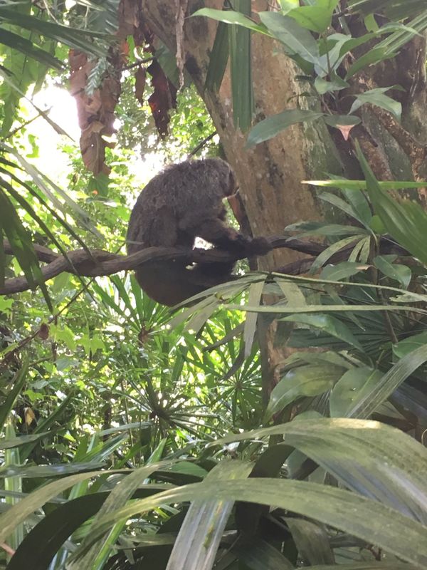 シンガポール・シンガポール「18.04 シンガポール」の写真