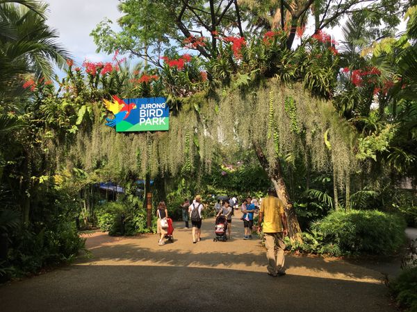 シンガポール・シンガポール「18.04 シンガポール」の写真