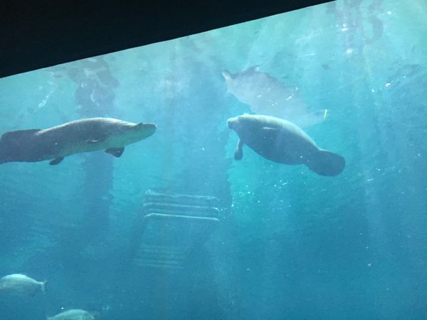 シンガポール・シンガポール「18.04 シンガポール」の写真