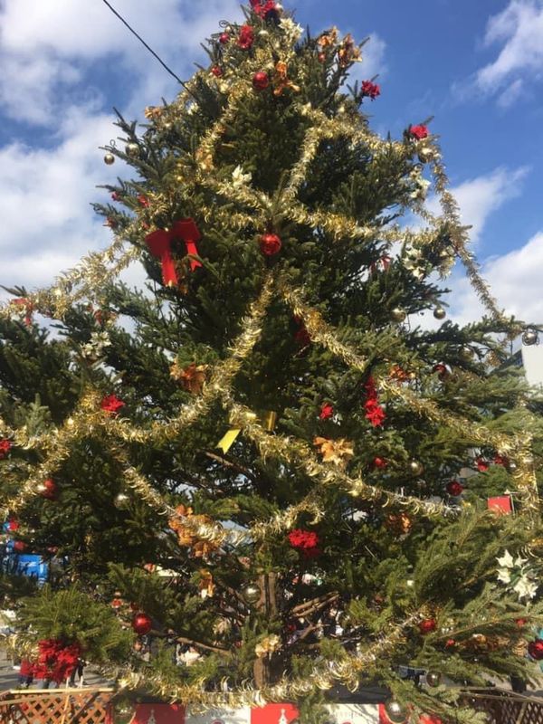 日本・愛知県「名古屋北欧展」の写真：名古屋のクリスマスマーケット
