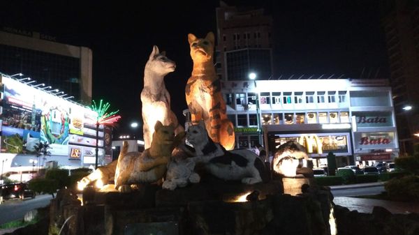 マレーシア・マラッカ「19.05 マレーシア(クアラルンプール/マラッカ/クチン)」の写真：オランウータン🦧みに