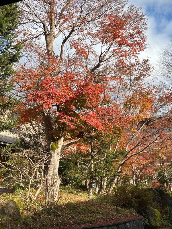 日本・神奈川県「箱根」の写真
