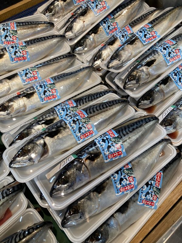 日本・京都府宮津市「海の京都」の写真：山一さんでお魚購入。干物が美味い😋