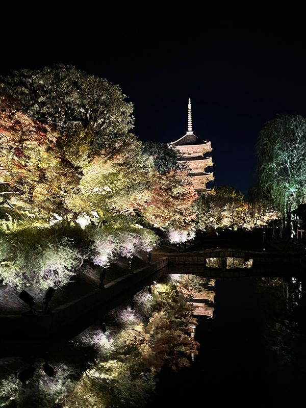 日本・京都府「名古屋→京都→名古屋」の写真