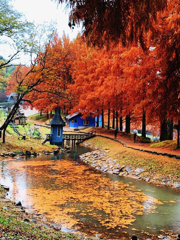日本・飯能市「ムーミンの世界✨」の写真