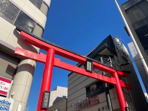 所用ついでにちょいと鎌倉へ。街並みの銀杏も綺麗でした。たまたま乗ったタクシ...