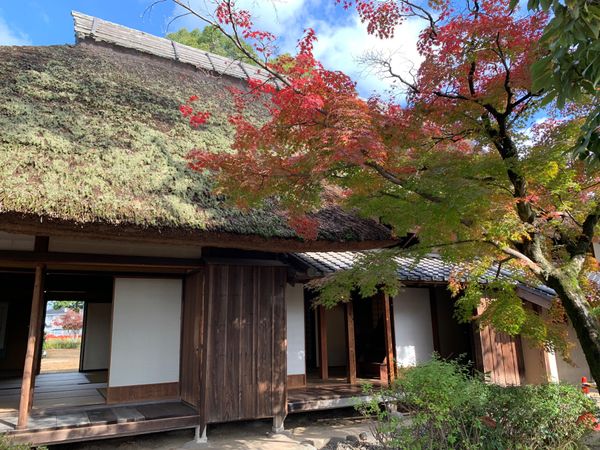 日本・大分県「一人旅」の写真：豆田町