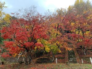 別府保養ランド
から
耶馬溪へ