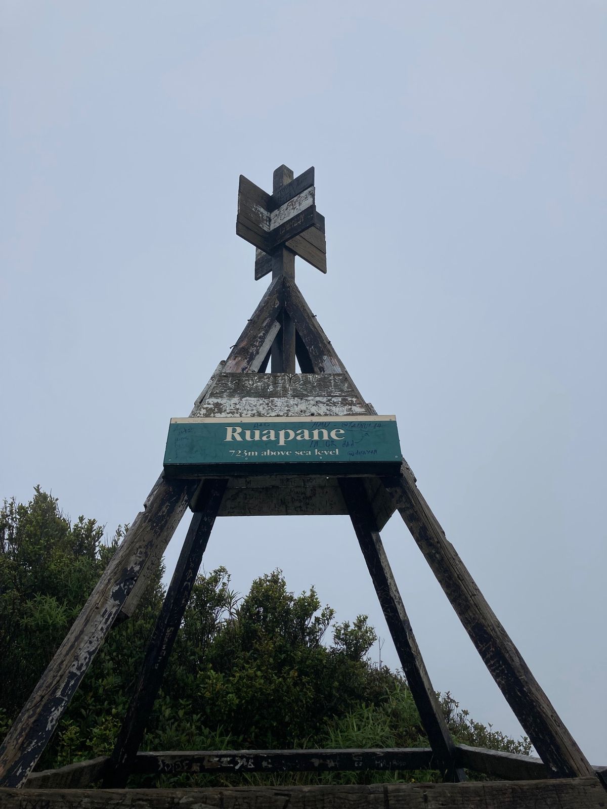 2023/1/5@pirongia forest park
諸事情によりど...