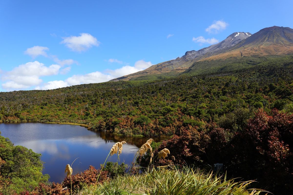 2023/1/14@Egmont National Park 
Lake ...