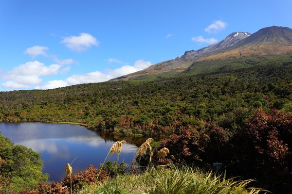 ニュージーランド・Auckland「New Zealand road trip」の写真：2023/1/14@Egmont Nat...