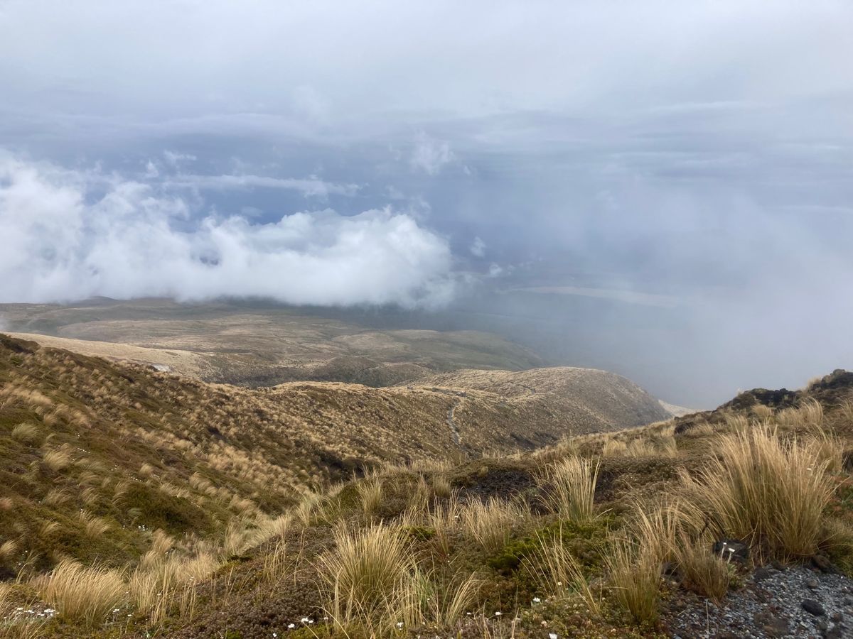 2023/1/13@Tonfariro National park
Ton...