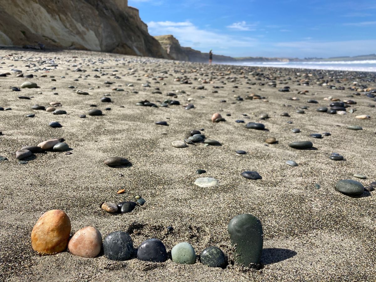 @Southern Scenic Route
無人販売所で激安Manuka...