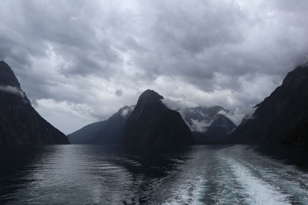 @Fiordland National Park
このエリアでは鉄板のアク...