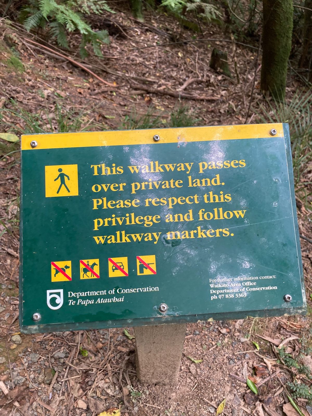 2023/1/1@karamu walkway
一般に公開されている、個人...