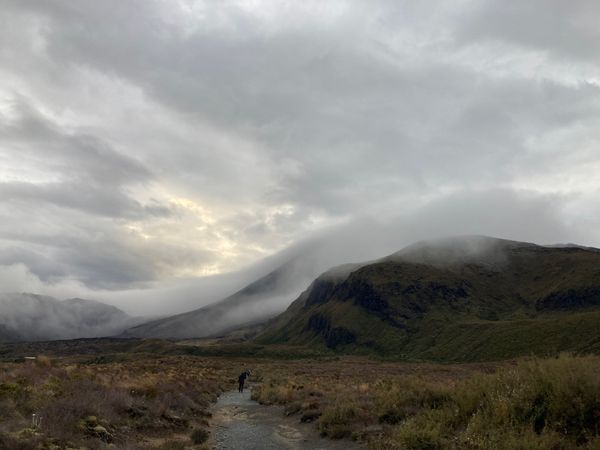 ニュージーランド・Auckland「New Zealand road trip」の写真：2023/1/13@Tonfariro ...