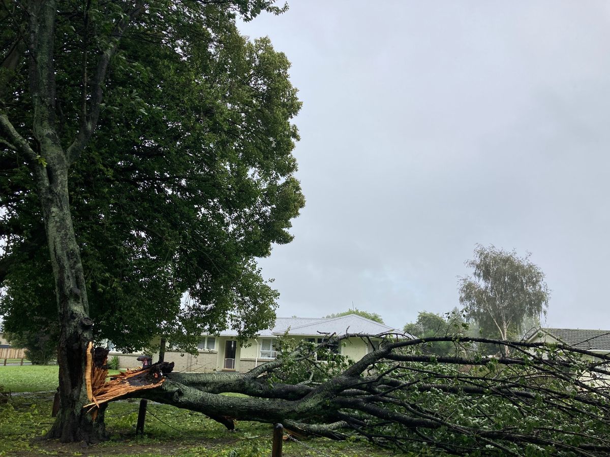 @Hawk’s Bay
北島に戻り東側を北上していたところ、行き先にサイク...