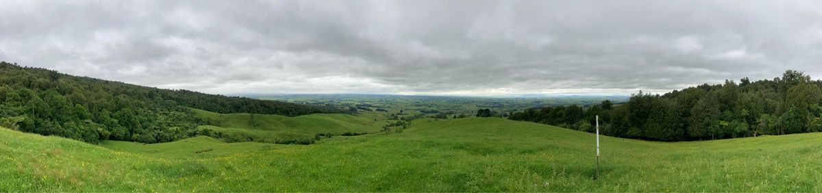 2023/1/5@pirongia forest park
諸事情によりど...