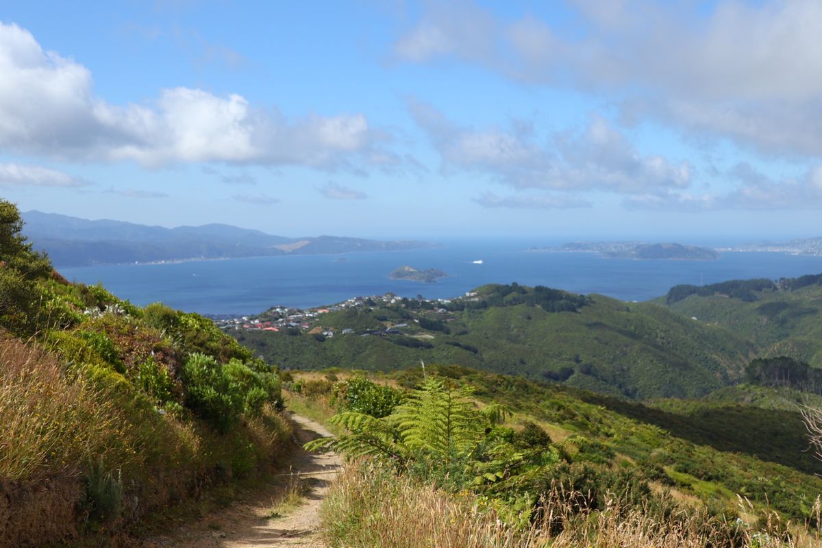 @Wellington
ちょっと中心部から外れると道路が迷路で大変だった
...