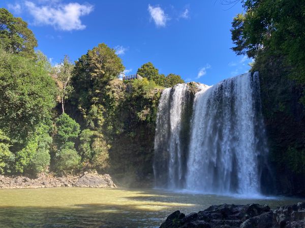 ニュージーランド・Auckland「New Zealand road trip」の写真：@Whangarei
Whangarei...