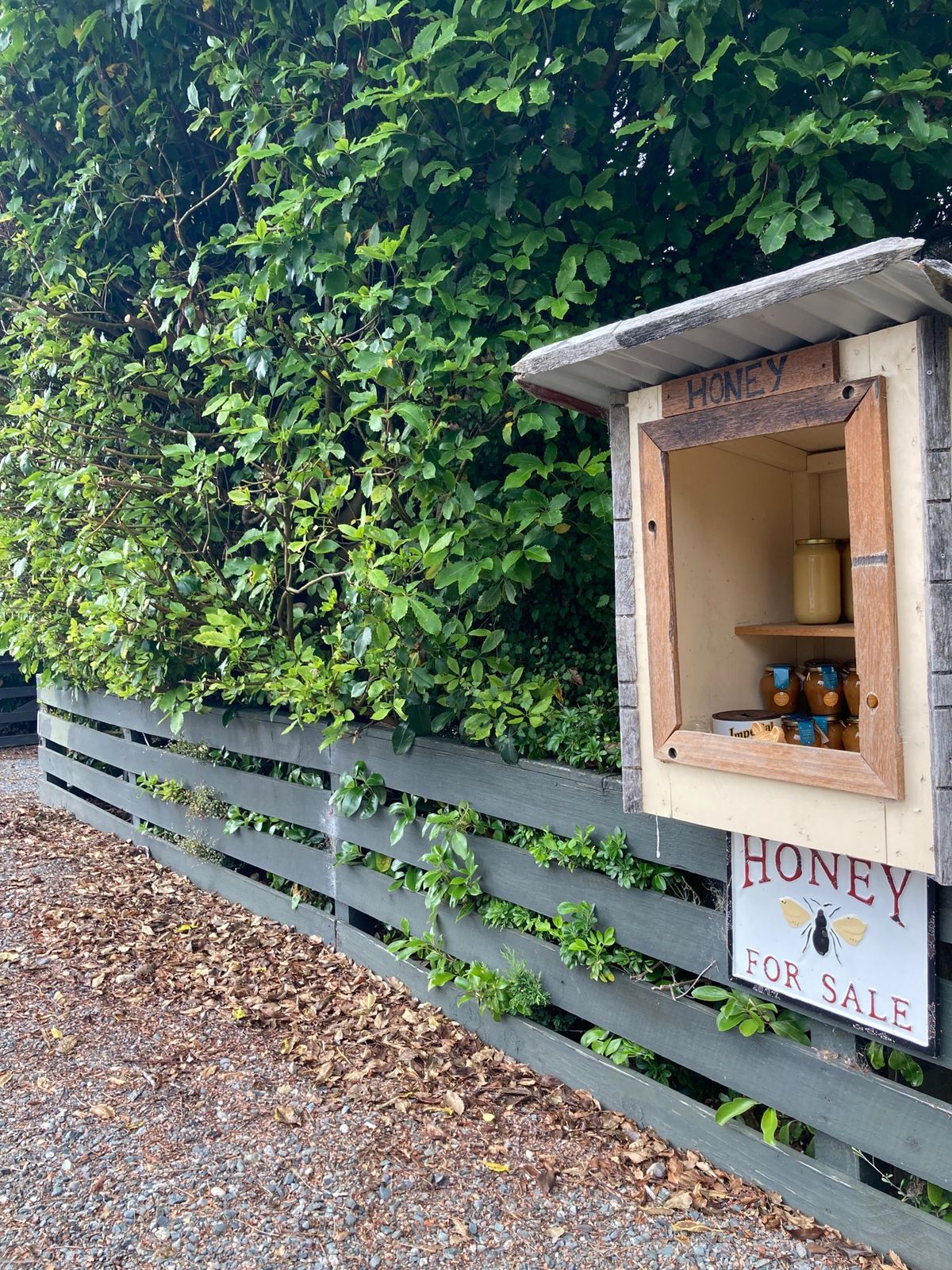 @Southern Scenic Route
無人販売所で激安Manuka...