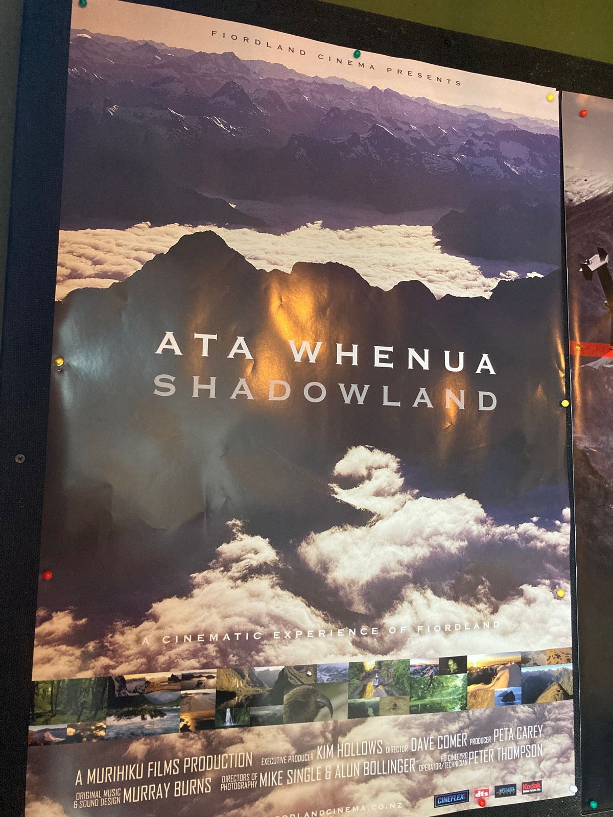 @Fiordland National Park
このエリアでは鉄板のアク...