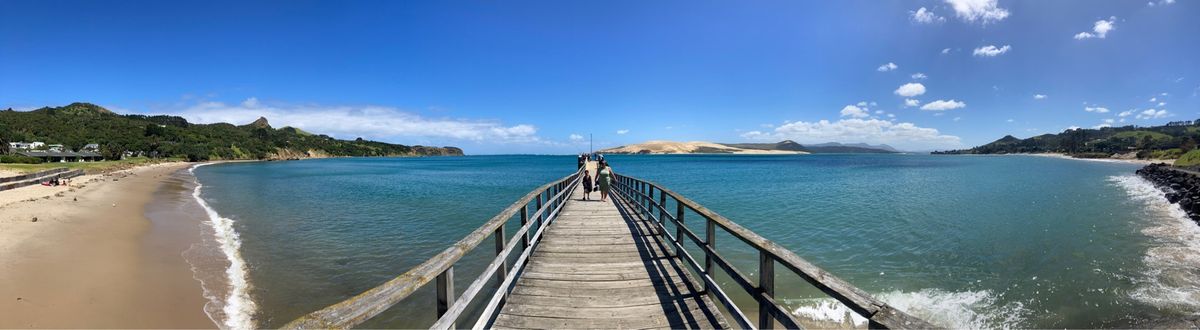 @Hokianga
ニュージーランドで現存する最大のKauriの木Tane...