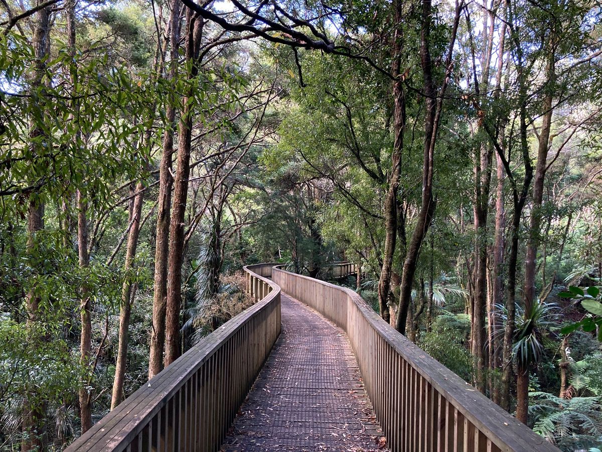 @Whangarei
Whangarei Falls
A.H. Reed ...