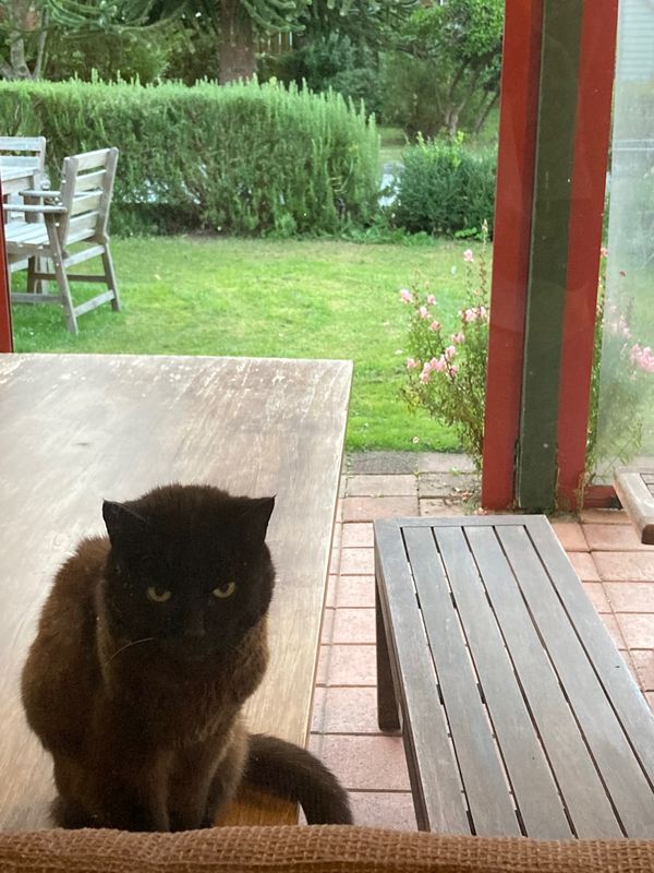 ニュージーランド・Auckland「New Zealand road trip」の写真：@Springfield
知人のススメで...