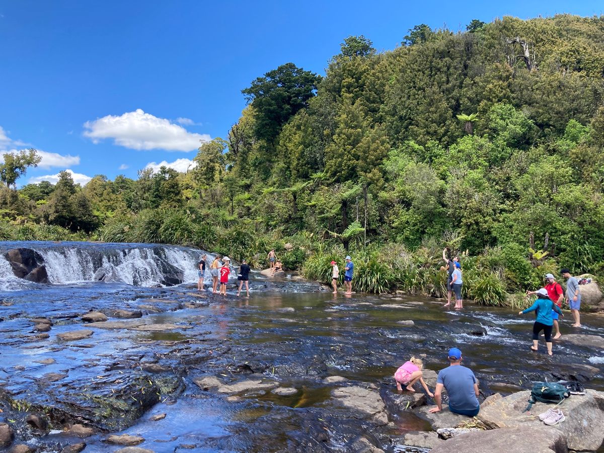 2022/12/28@wairere falls
滝の上まで1時間半
天気...