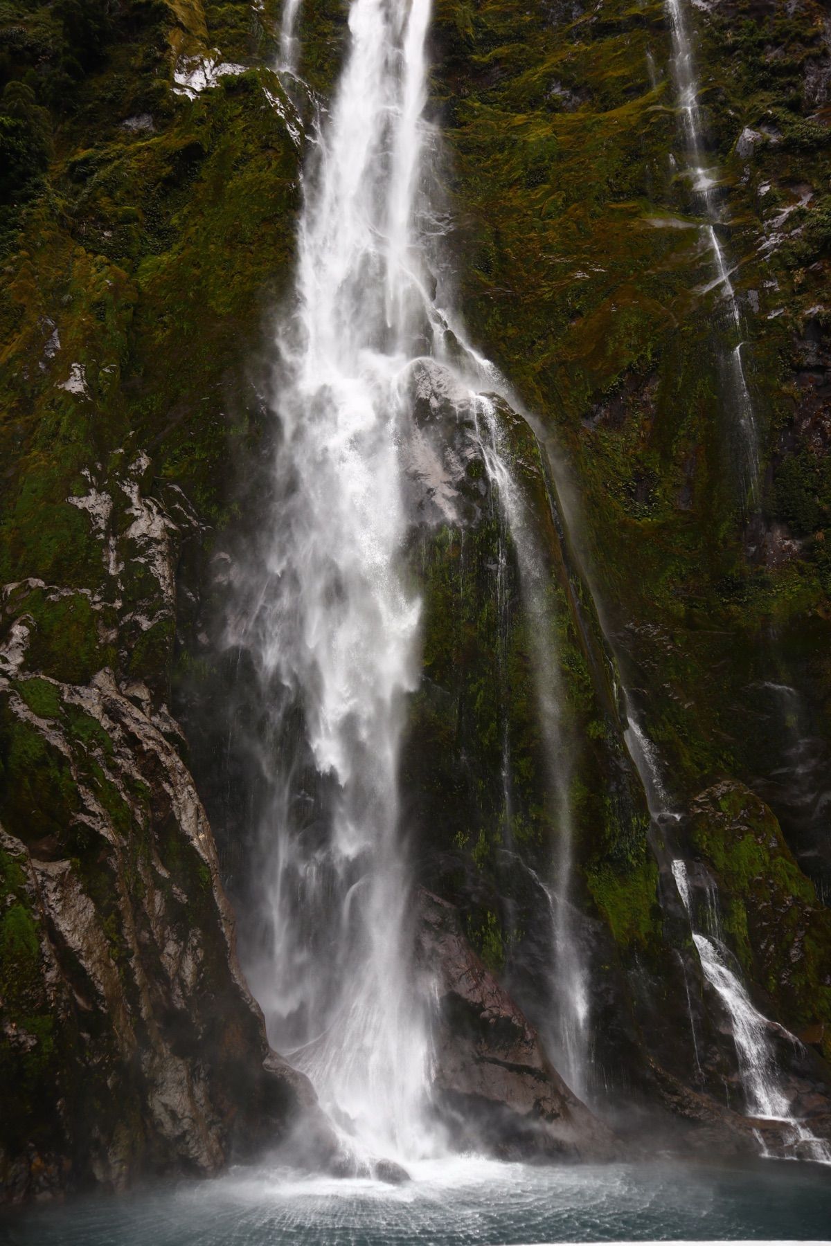 @Fiordland National Park
このエリアでは鉄板のアク...