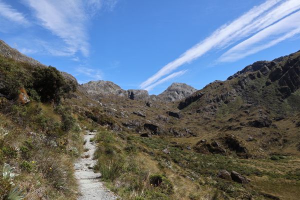 ニュージーランド・Auckland「New Zealand road trip」の写真：2023/1/30@Mt. Aspiri...