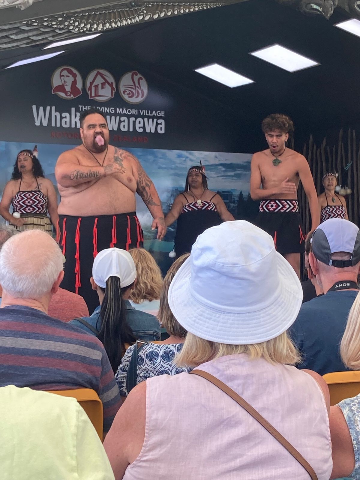 @Rotorua
そこらじゅうの地面から蒸気が噴き出していて、周辺にはほの...