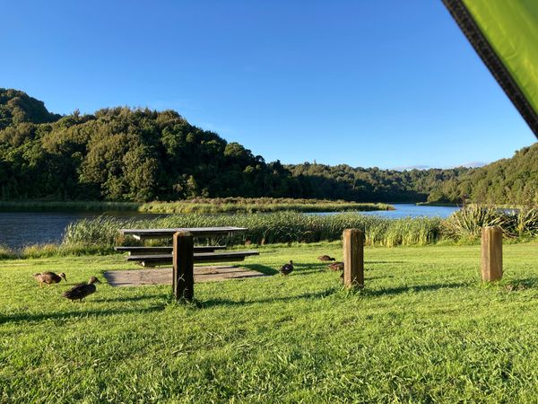 ニュージーランド・Auckland「New Zealand road trip」の写真：2023/1/14@Rotokare S...