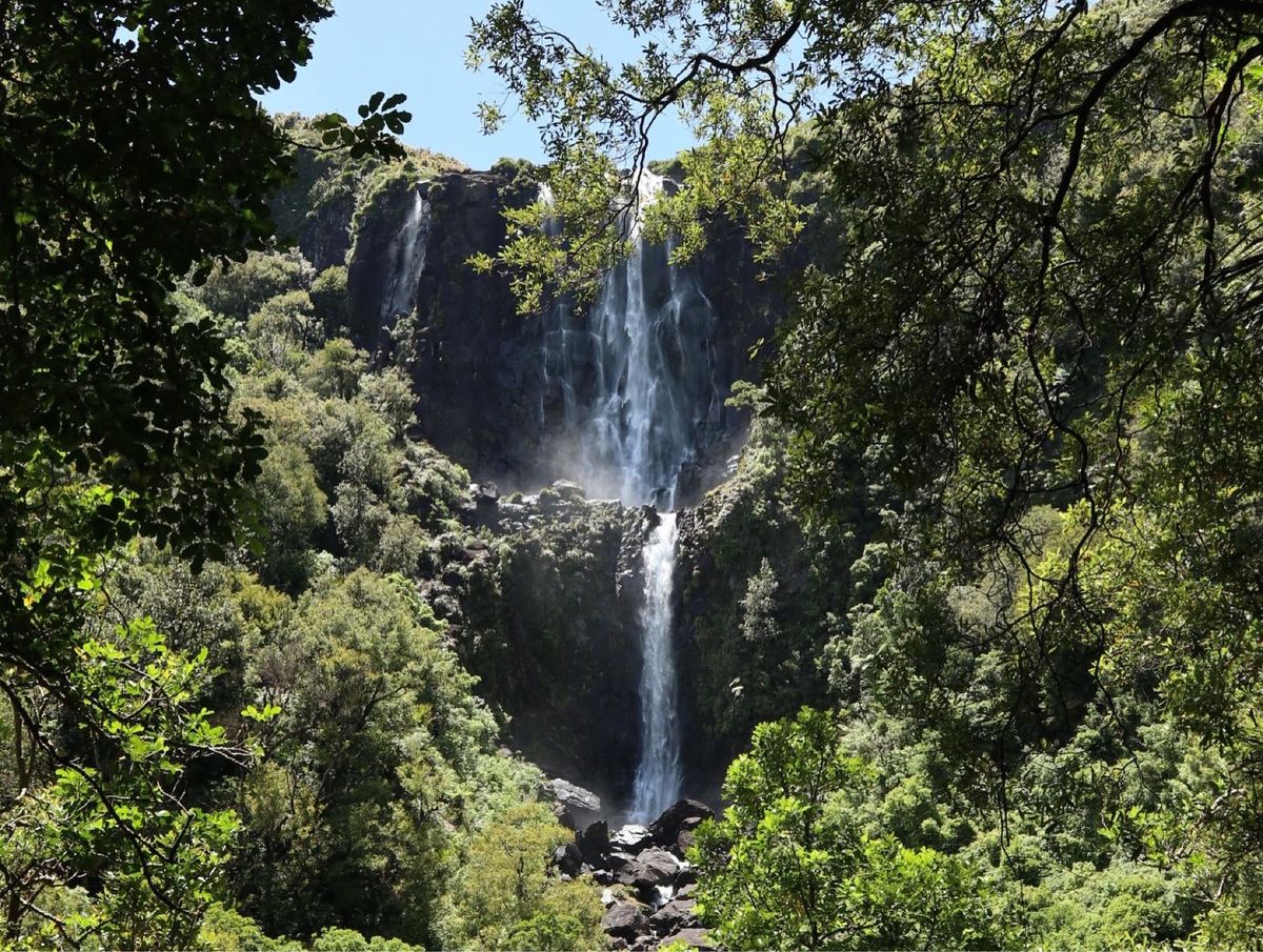 2022/12/28@wairere falls
滝の上まで1時間半
天気...
